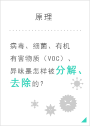 原理   病毒、细菌是怎样被分解、去除的？
